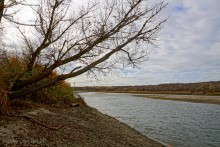 Прогулка по осенним лесам и перекатам на Северском Донце