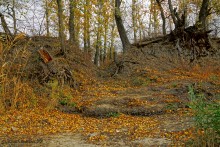 Прогулка по осенним лесам и перекатам на Северском Донце