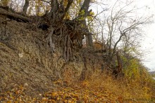 Прогулка по осенним лесам и перекатам на Северском Донце