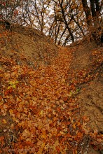 Прогулка по осенним лесам и перекатам на Северском Донце