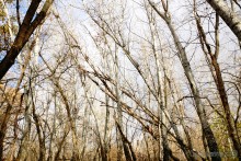 Прогулка по осенним лесам и перекатам на Северском Донце