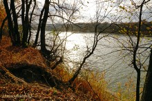 Прогулка по осенним лесам и перекатам на Северском Донце