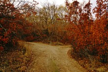 Прогулка по осенним лесам и перекатам на Северском Донце