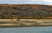 Прогулка по осенним лесам и перекатам на Северском Донце