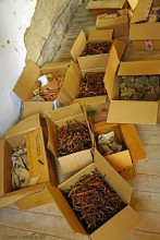 Прогулка с Петром Севастьяновичем Косовым по его музею в Семибалках и берегу моря