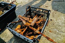 Прогулка с Петром Севастьяновичем Косовым по его музею в Семибалках и берегу моря