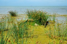 Прогулка с Петром Севастьяновичем Косовым по его музею в Семибалках и берегу моря