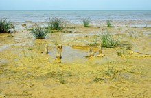 Прогулка с Петром Севастьяновичем Косовым по его музею в Семибалках и берегу моря