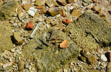 Прогулка с Петром Севастьяновичем Косовым по его музею в Семибалках и берегу моря