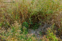 Прогулка с Петром Севастьяновичем Косовым по его музею в Семибалках и берегу моря