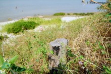 Прогулка с Петром Севастьяновичем Косовым по его музею в Семибалках и берегу моря