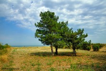 Прогулка с Петром Севастьяновичем Косовым по его музею в Семибалках и берегу моря