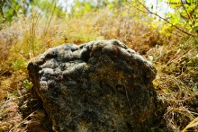 Кукушкин лён - мох, которым утепляли русские, бревенчатые избы