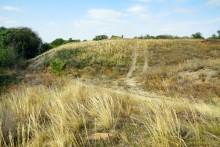 Ракушечные выходы и обрывы по берегам Мёртвого Донца 