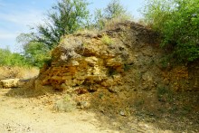 Ракушечные выходы и обрывы по берегам Мёртвого Донца 