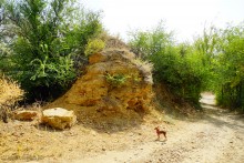 Ракушечные выходы и обрывы по берегам Мёртвого Донца 