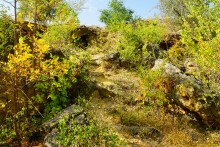 Ракушечные выходы и обрывы по берегам Мёртвого Донца 