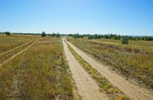 Путешествие по ольховым лесам на реке Елани у станицы Еланской