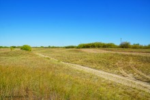 Путешествие по ольховым лесам на реке Елани у станицы Еланской