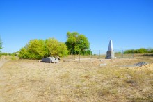 Путешествие по ольховым лесам на реке Елани у станицы Еланской