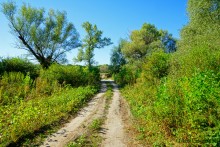 Путешествие по ольховым лесам на реке Елани у станицы Еланской