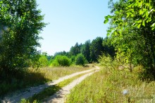 Путешествие по ольховым лесам на реке Елани у станицы Еланской