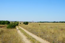 Путешествие по ольховым лесам на реке Елани у станицы Еланской