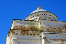 Путешествие по ольховым лесам на реке Елани у станицы Еланской