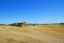 Путешествие по ольховым лесам на реке Елани у станицы Еланской