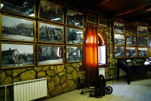 Путешествие по ольховым лесам на реке Елани у станицы Еланской