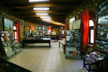 Путешествие по ольховым лесам на реке Елани у станицы Еланской