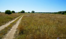 Путешествие по ольховым лесам на реке Елани у станицы Еланской