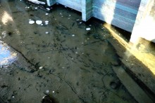 Бетонные корабли в Аксае