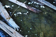 Бетонные корабли в Аксае