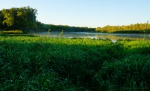 Утро у Вёшенской на Мигулянке