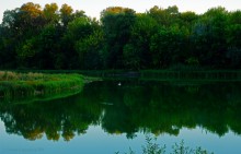 Вечер на заливе Мигулянка у станицы Вёшенская