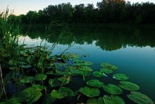 Вечер на заливе Мигулянка у станицы Вёшенская