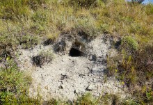 Путешествие по Верхнедонскому району к горе Стог