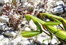 Путешествие по Верхнедонскому району к горе Стог