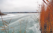 Путешествие бесснежный зимой к Золотому ерику, лиману Хрящеватому и озеру Калмычка