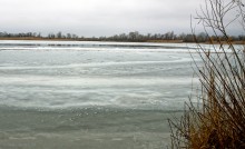 Путешествие бесснежный зимой к Золотому ерику, лиману Хрящеватому и озеру Калмычка