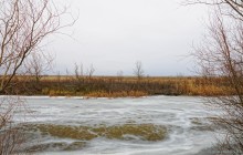 Путешествие бесснежный зимой к Золотому ерику, лиману Хрящеватому и озеру Калмычка