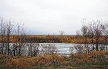 Путешествие бесснежный зимой к Золотому ерику, лиману Хрящеватому и озеру Калмычка