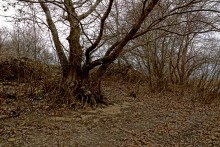 Путешествие бесснежный зимой к Золотому ерику, лиману Хрящеватому и озеру Калмычка