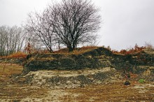 Путешествие бесснежный зимой к Золотому ерику, лиману Хрящеватому и озеру Калмычка