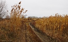 Путешествие бесснежный зимой к Золотому ерику, лиману Хрящеватому и озеру Калмычка