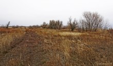 Путешествие бесснежный зимой к Золотому ерику, лиману Хрящеватому и озеру Калмычка