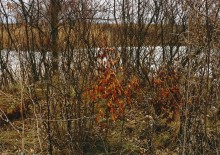 Путешествие бесснежный зимой к Золотому ерику, лиману Хрящеватому и озеру Калмычка