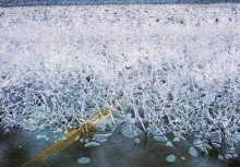 Путешествие бесснежный зимой к Золотому ерику, лиману Хрящеватому и озеру Калмычка