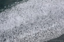 Путешествие бесснежный зимой к Золотому ерику, лиману Хрящеватому и озеру Калмычка